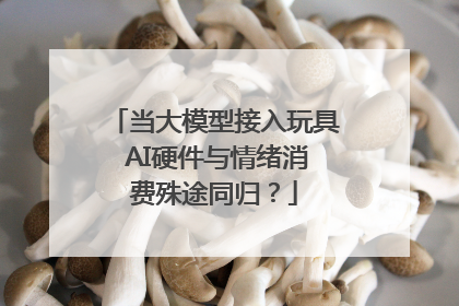 当大模型接入玩具 AI硬件与情绪消费殊途同归？