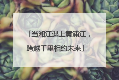 当湘江遇上黄浦江，跨越千里相约未来