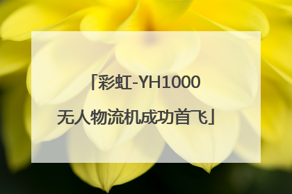 彩虹-YH1000无人物流机成功首飞