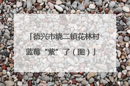 德兴市绕二镇花林村蓝莓“紫”了（图）