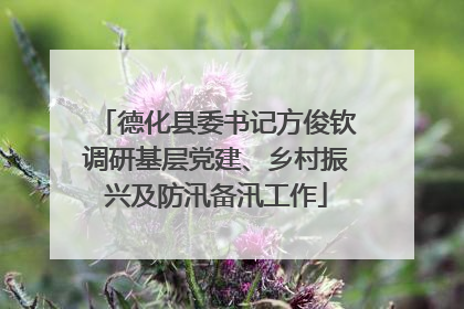 德化县委书记方俊钦调研基层党建、乡村振兴及防汛备汛工作