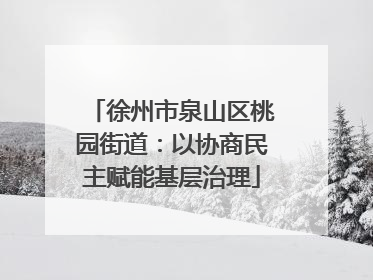 徐州市泉山区桃园街道：以协商民主赋能基层治理