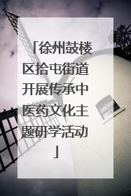 徐州鼓楼区拾屯街道开展传承中医药文化主题研学活动