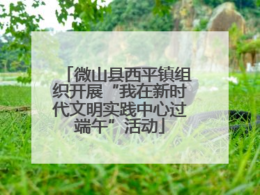微山县西平镇组织开展“我在新时代文明实践中心过端午”活动