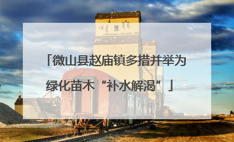 微山县赵庙镇多措并举为绿化苗木“补水解渴”