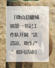 微山县驩城镇第一书记工作队开展“送清凉、助生产”慰问活动