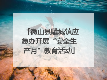 微山县驩城镇应急办开展“安全生产月”教育活动