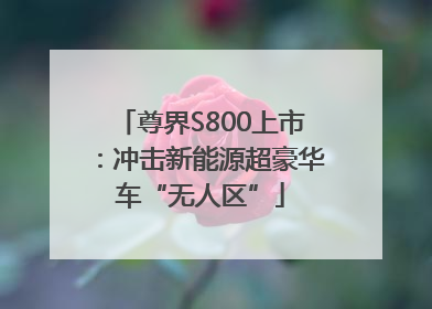 尊界S800上市：冲击新能源超豪华车“无人区”