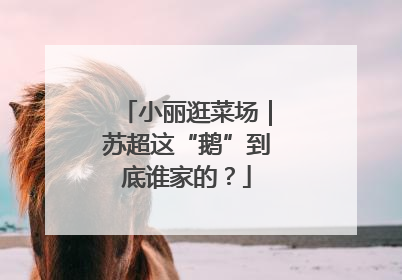 小丽逛菜场｜苏超这“鹅”到底谁家的？