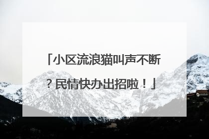 小区流浪猫叫声不断？民情快办出招啦！