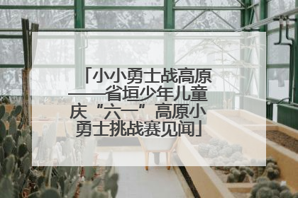 小小勇士战高原——省垣少年儿童庆“六一”高原小勇士挑战赛见闻