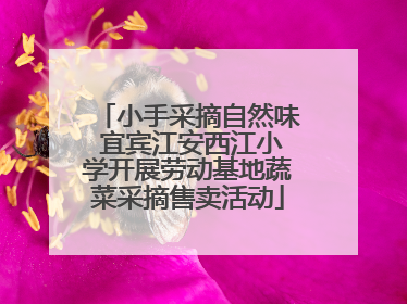 小手采摘自然味 宜宾江安西江小学开展劳动基地蔬菜采摘售卖活动