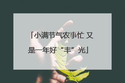 小满节气农事忙 又是一年好“丰”光