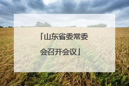 山东省委常委会召开会议
