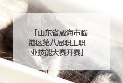山东省威海市临港区第八届职工职业技能大赛开赛