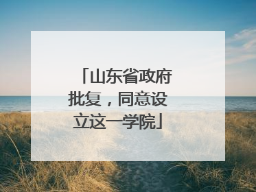 山东省政府批复，同意设立这一学院