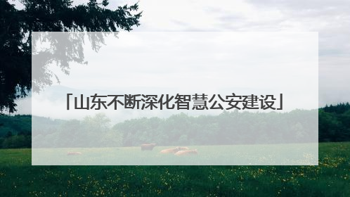 山东不断深化智慧公安建设