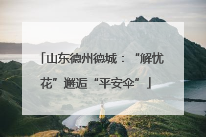 山东德州德城：“解忧花”邂逅“平安伞”