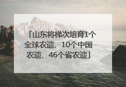 山东将梯次培育1个全球农遗、10个中国农遗、46个省农遗