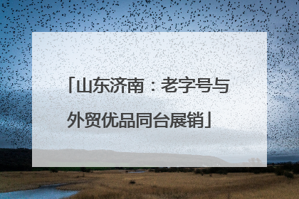 山东济南：老字号与外贸优品同台展销