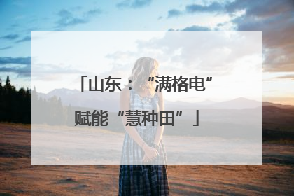 山东：“满格电”赋能“慧种田”