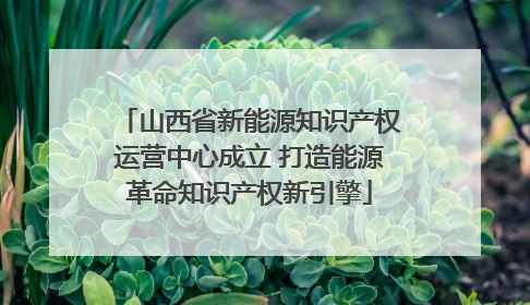 山西省新能源知识产权运营中心成立 打造能源革命知识产权新引擎