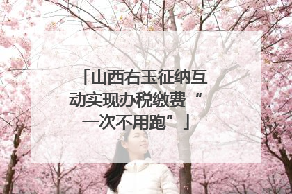 山西右玉征纳互动实现办税缴费“一次不用跑”