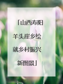 山西寿阳羊头崖乡绘就乡村振兴新图景