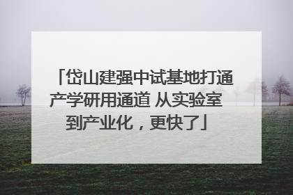 岱山建强中试基地打通产学研用通道 从实验室到产业化，更快了