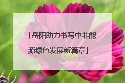 岳阳助力书写中非能源绿色发展新篇章