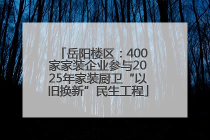岳阳楼区：400家家装企业参与2025年家装厨卫“以旧换新”民生工程