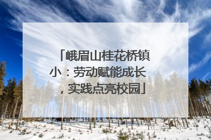 峨眉山桂花桥镇小：劳动赋能成长，实践点亮校园
