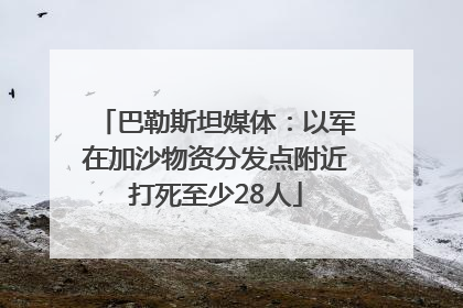 巴勒斯坦媒体：以军在加沙物资分发点附近打死至少28人