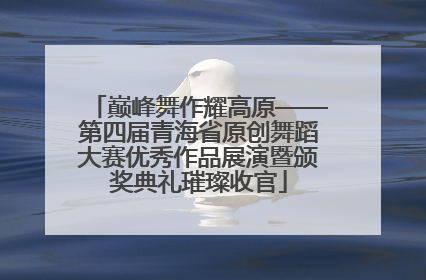 巅峰舞作耀高原——第四届青海省原创舞蹈大赛优秀作品展演暨颁奖典礼璀璨收官