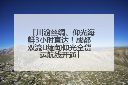 川渝丝绸、仰光海鲜3小时直达！成都双流⇌缅甸仰光全货运航线开通