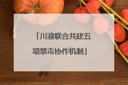 川渝联合共建五项禁毒协作机制