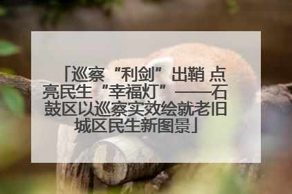 巡察“利剑”出鞘 点亮民生“幸福灯”——石鼓区以巡察实效绘就老旧城区民生新图景