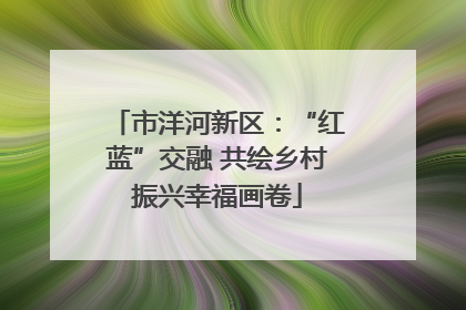 市洋河新区：“红蓝”交融 共绘乡村振兴幸福画卷