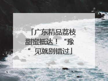 广东精品荔枝甜蜜抵达！“豫”见就别错过