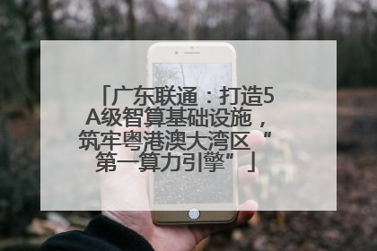 广东联通：打造5A级智算基础设施，筑牢粤港澳大湾区“第一算力引擎”