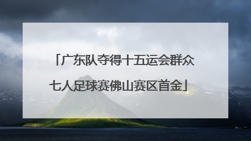 广东队夺得十五运会群众七人足球赛佛山赛区首金
