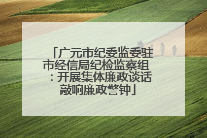 广元市纪委监委驻市经信局纪检监察组：开展集体廉政谈话 敲响廉政警钟