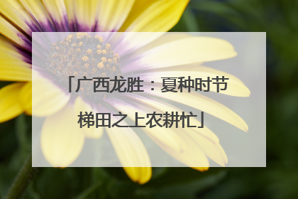 广西龙胜：夏种时节 梯田之上农耕忙