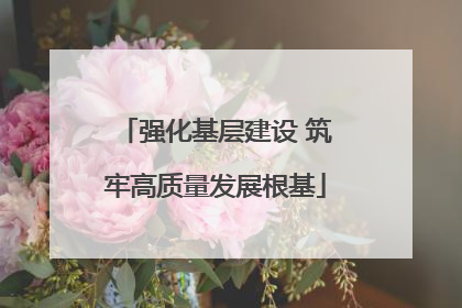 强化基层建设 筑牢高质量发展根基