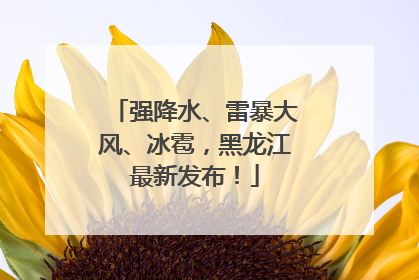 强降水、雷暴大风、冰雹，黑龙江最新发布！