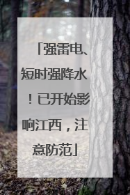 强雷电、短时强降水！已开始影响江西，注意防范