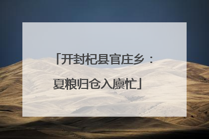 开封杞县官庄乡：夏粮归仓入廪忙