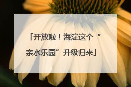 开放啦！海淀这个“亲水乐园”升级归来