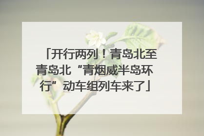 开行两列！青岛北至青岛北“青烟威半岛环行”动车组列车来了