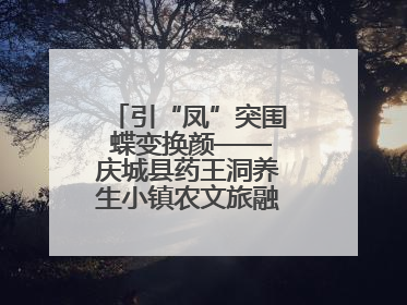 引“凤”突围 蝶变换颜——庆城县药王洞养生小镇农文旅融合发展纪实